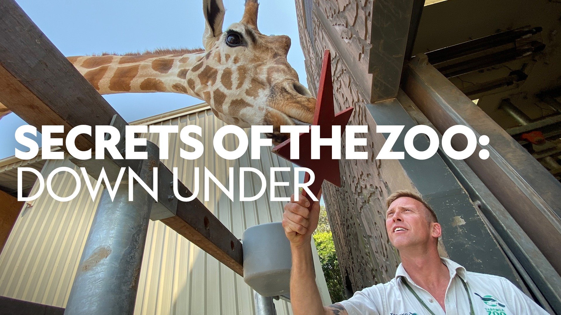 Watch Secrets of the Zoo: Down Under live or on-demand | Freeview Australia