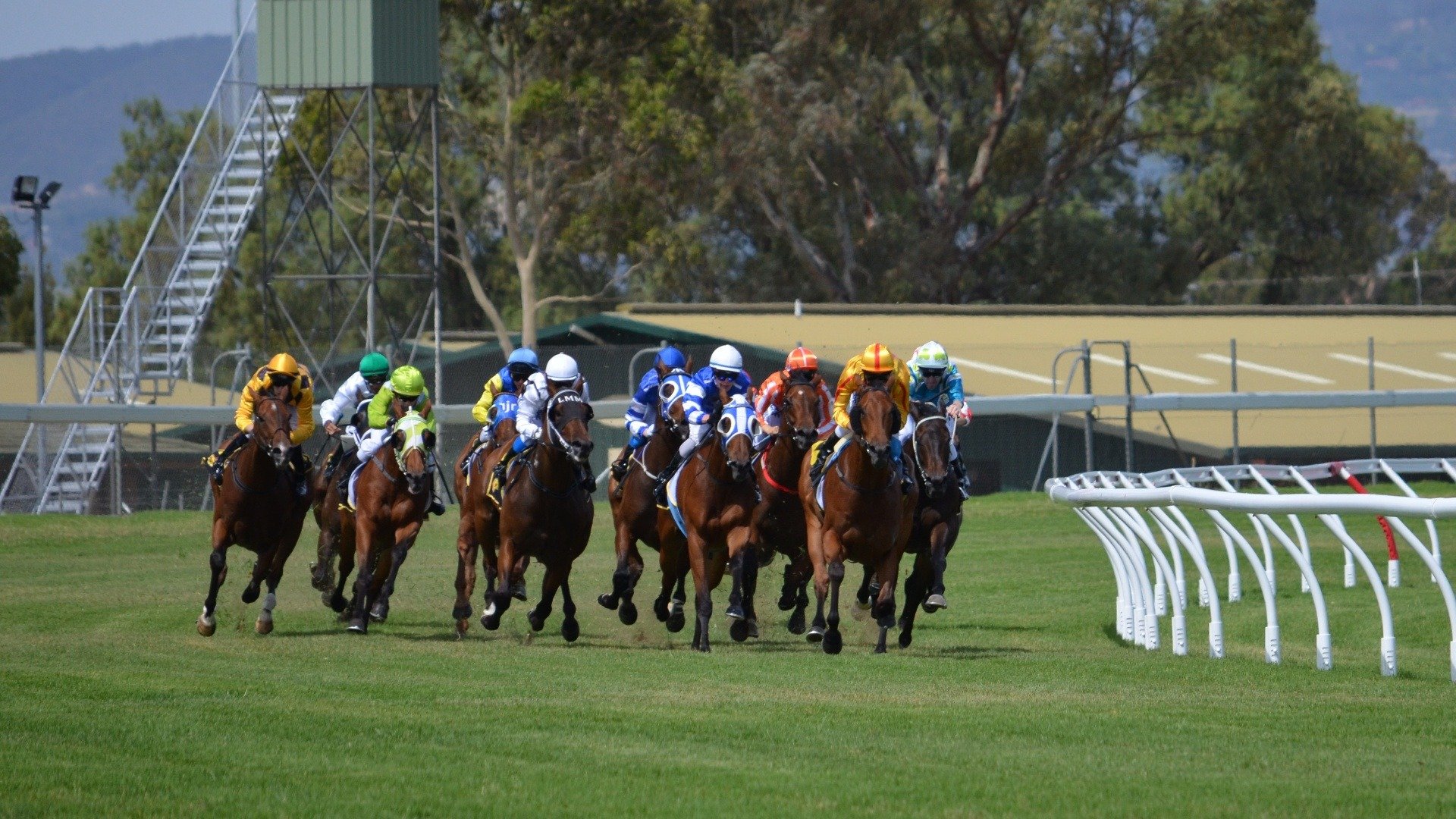 Watch Famous Five Cox Plate live or ondemand Freeview Australia