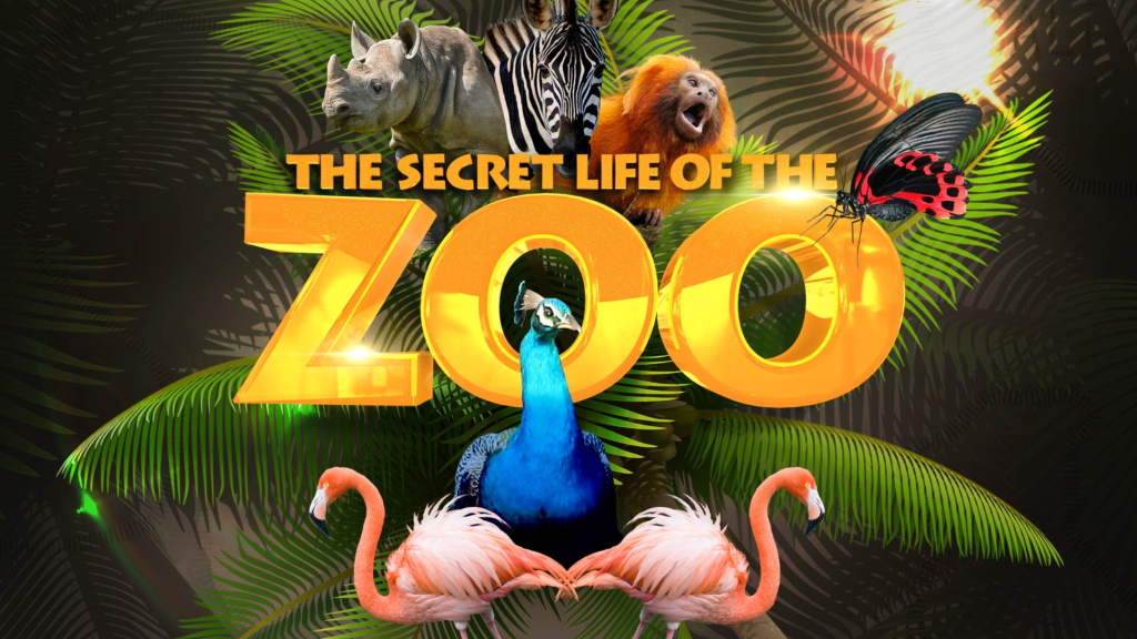 Watch The Secret Life of the Zoo live or ondemand Freeview Australia