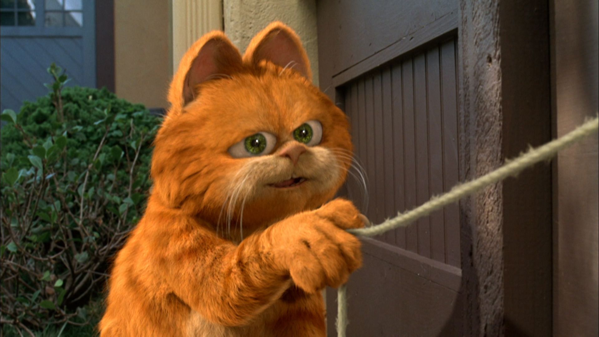 Watch Garfield live or ondemand Freeview Australia