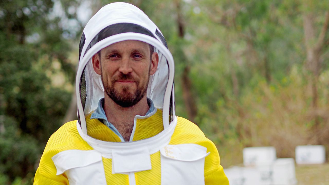 watch-the-great-australian-bee-challenge-live-or-on-demand-freeview