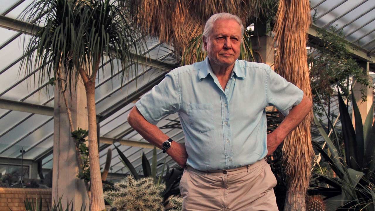 Watch David Attenborough's Kingdom of Plants live or on-demand
