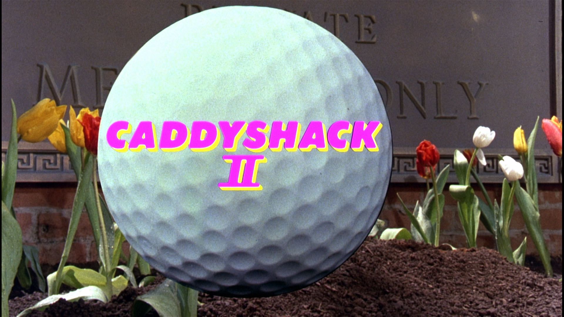 Watch Caddyshack II live or ondemand Freeview Australia