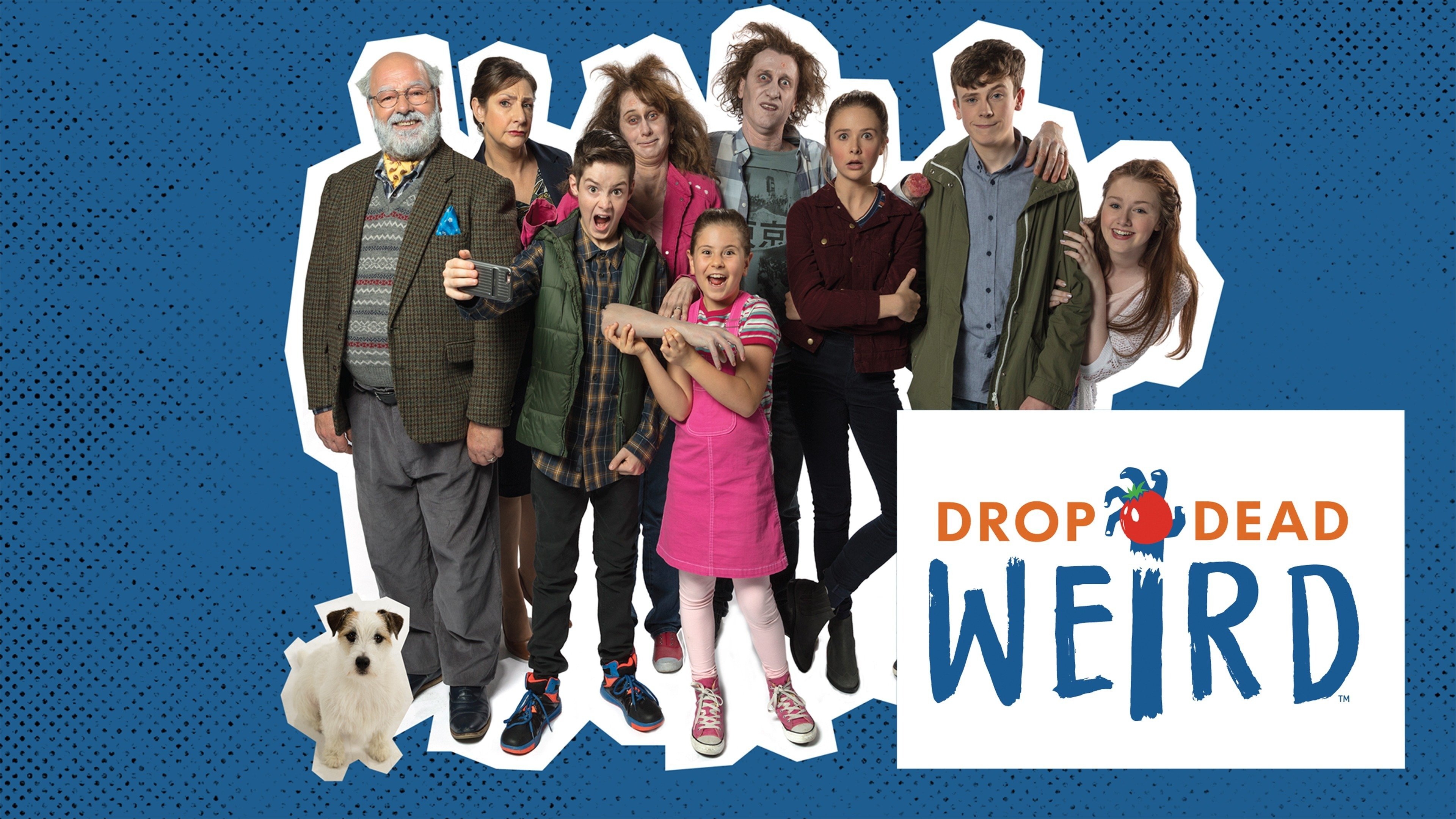 Rewatch Drop Dead Gorgeous: It'S Even Funnier Now - 33o6ca8