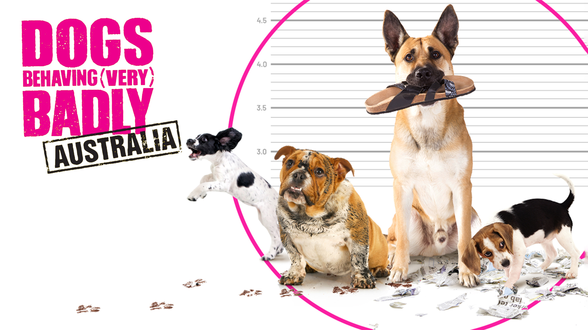 Watch Dogs Behaving (Very) Badly Australia live or on-demand | Freeview ...